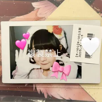 큐루링 해봐 2025 생탄 폴라로이드 치바 유나