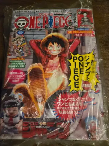 ONE PIECE 원피스 매거진 020 특집