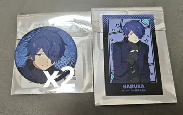 milgram 밀그램 하루카 캔뱃지