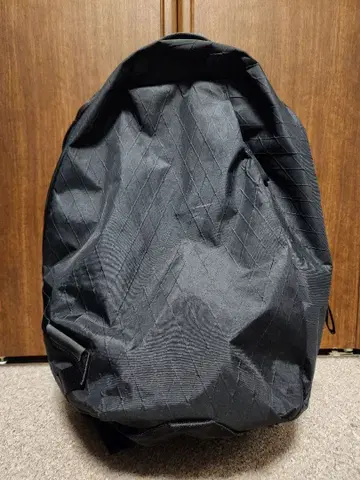 Able Carry 블랙 백팩 백팩