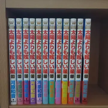 태양보다 눈부신 별