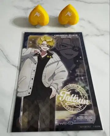 컬러풀 피치 타츠운 씨 토부 동물공원 링 라이트 엽서 세트