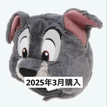 팬캡 / 원더풀 월드 / 카드놀이