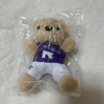 릿쿄베어 역전베어