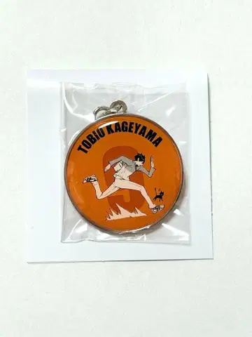 하이큐!! RUN 메탈 키링 컬렉션 카게야마