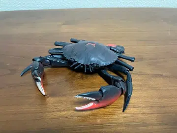 생물대도감 게 노코기리가자미 피규어