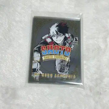 [나의 히어로 아카데미아] [원화전] 토도로키 쇼토