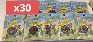 포켓몬 센터 도쿄 베이 리뉴얼 오픈 기념 한정판 핀 배지 30개