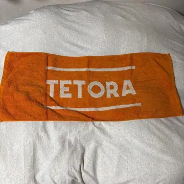 TETORA 타월 당근