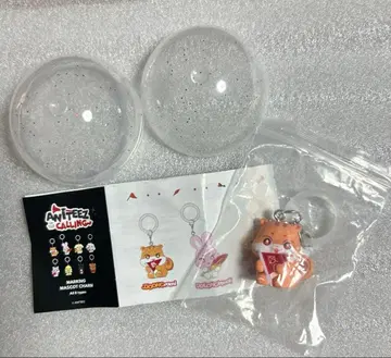 ANITEEZ 마스코트 참 홍준 JJOONGrami