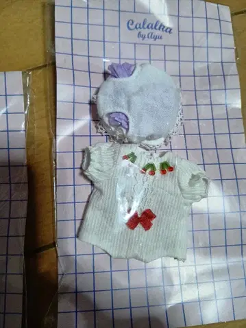 딜러님 제작 의류