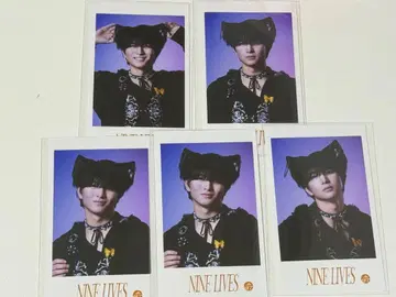 NINE LIVES 하루 미니 사진 5장 세트