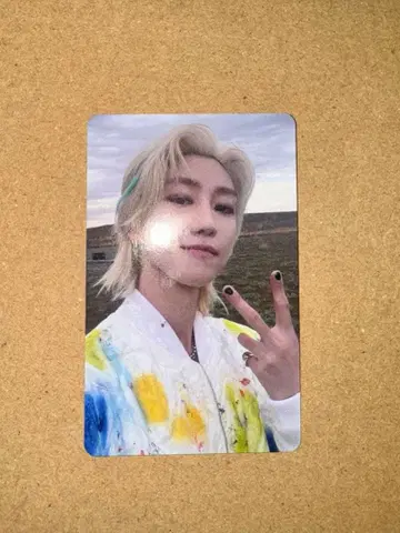 SEVENTEEN 디에이트 heaven 회장 한정 트레이딩 카드