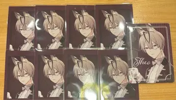 하니브 허니 바이브스 오토후유 오토마 파르카 포토 카드 테오 세트