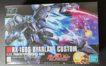 HG 바이아란 커스텀