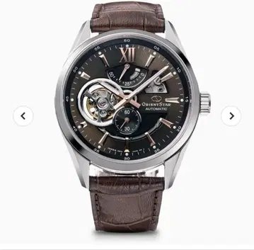 오리엔트 스타 모던 스켈레톤 RK-AV0008Y