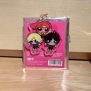 파워퍼프걸 블라인드 아크릴 참