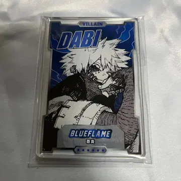 히로아카 스탯 카드 다비