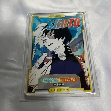 히로아카 스탯 카드 토도로키