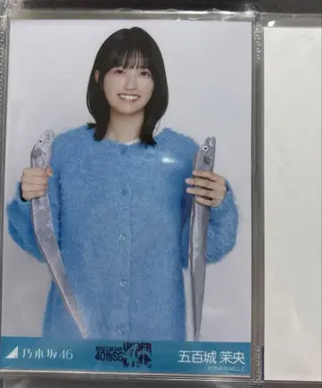 노기자카46 언더 라이브 T셔츠 니트 롱 데님 스커트 이오키 마오 츄