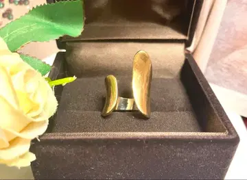 갸라루다 가란테 정가 12000엔 골드 오픈링 개성 있고 세련된