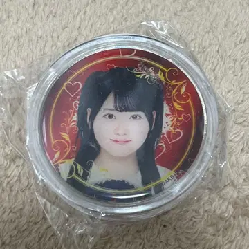 호테이 모모카 20주년 기념 랜덤 코인 아토레 아키하바라 가챠