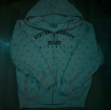 센트럴 미시간 대학교 후드티
