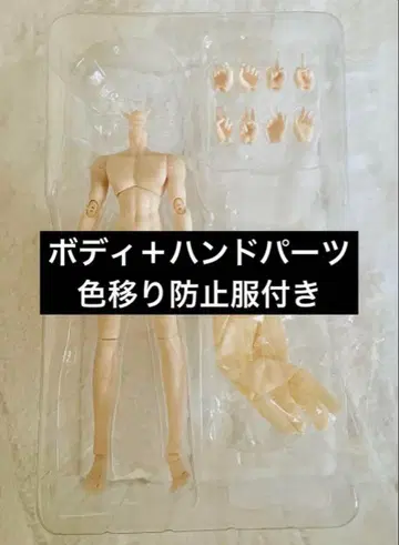 격동의 순간 시칠리아의 추억 블라인드 인형 바디 핸드 파츠