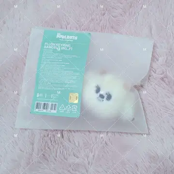 TXT 뿔바투 페이스 키링 범규