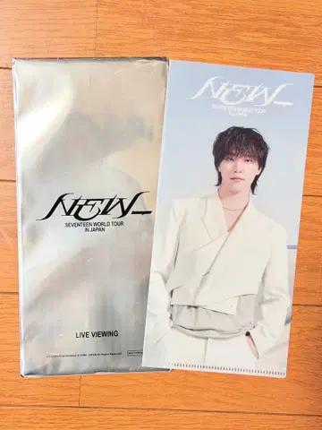 SEVENTEEN 라이브 뷰잉 특전 티켓 홀더 디노 DINO