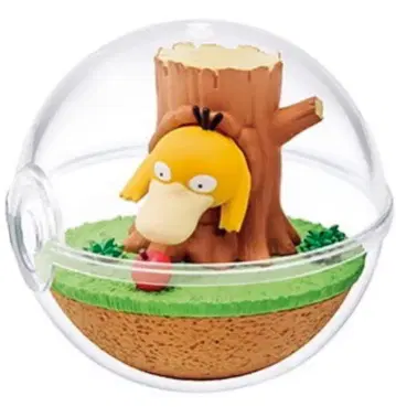 새상품 느긋한 순간 테라리움 컬렉션 코닥