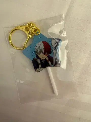 나의 히어로 아카데미아 히로아카 유에이 고교 오픈스쿨 토도로키 쇼토