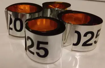 Number_i LIVE TOUR 2025 은색 테이프 4개 풀