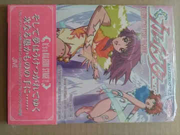 카레이도스타 비주얼 팬 BOOK