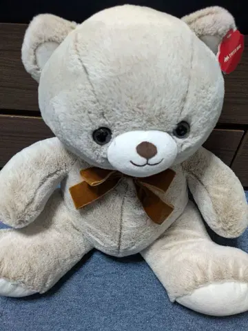 귀여운 곰 봉제 인형 세트