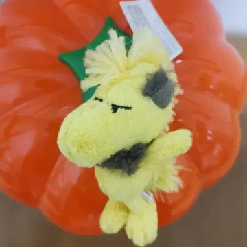 호러 나이트 스누피 우드스탁