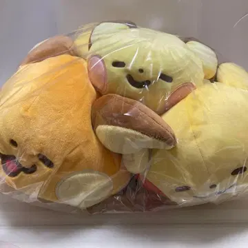 카나헤이 피카츄 라이츄 피츄