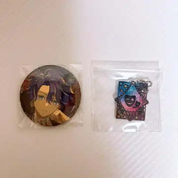 홀로스타즈 AGF 아스텔 레다 캔뱃지