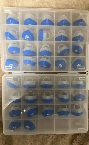 컬러풀 피치 카라피치 나오키리 동부 동물 공원 링 라이트