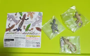 [ 무료배송 ] 도마뱀 3세트