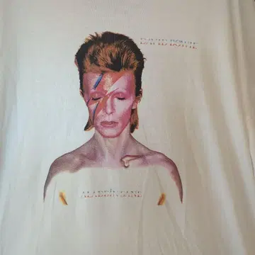 데이비드 보위 (DAVID BOWIE) RAGEBLUE 티셔츠 L 사이즈