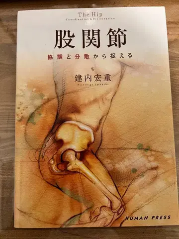 고관절 협조와 분산으로 파악하기