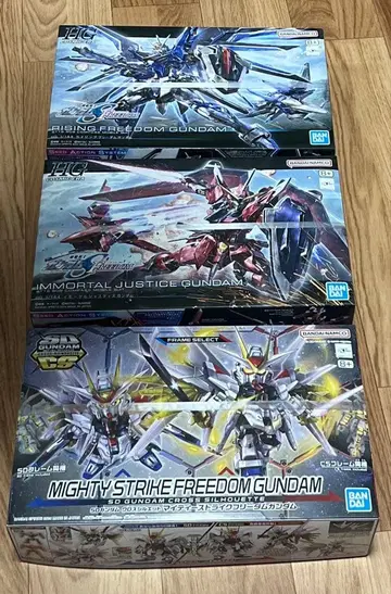 HG 라이징 프리덤 이모탈 저스티스