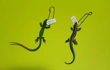 [ 무료배송 ] 네이처 테크니컬러 일본도마뱀 유체 / 스트랩 레어