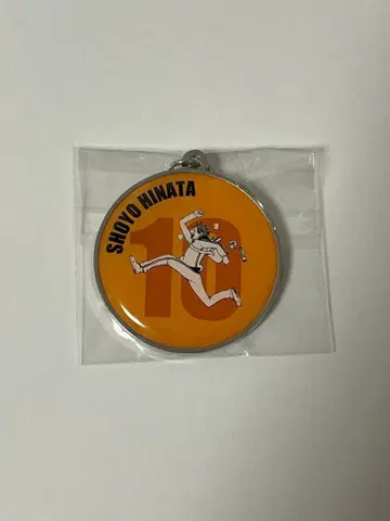 하이큐 RUN 메탈 키링 히나타 쇼요