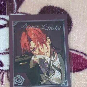 미스트니아의 날개 희망 오토메이트 오토후유 애스콧 포토 카드 사인 포함