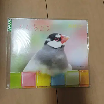 벚꽃 문조 달력 2026