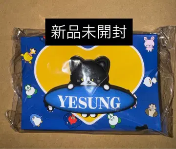 슈퍼주니어 예성 팬라이트 응원봉 액세서리