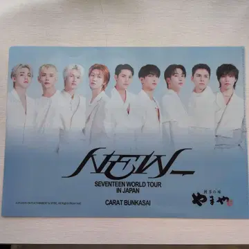 SEVENTEEN 월드 투어 클리어 파일