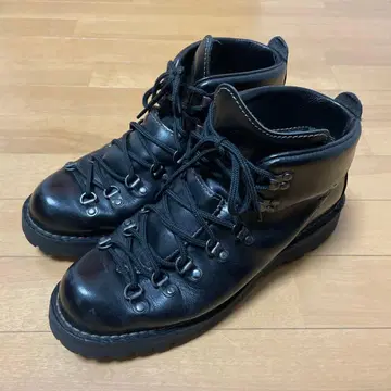 대너 마운틴 라이트 2 43